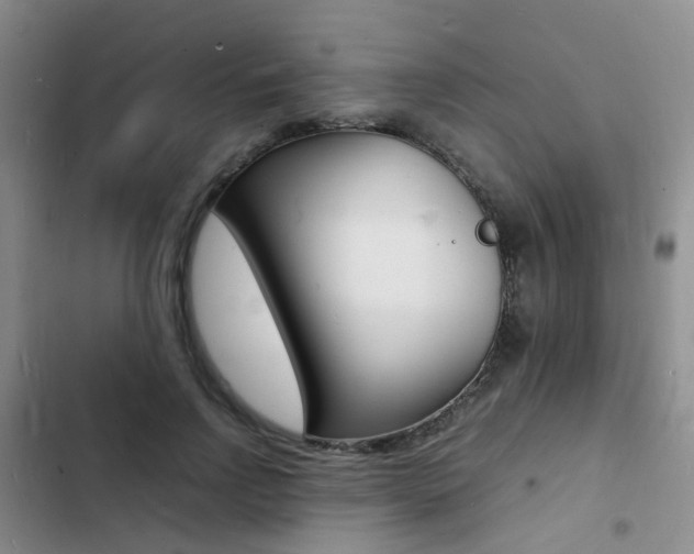 X0000103250742200808281056
