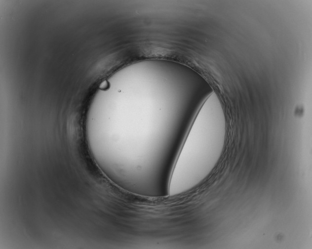 X0000103250743200808281056