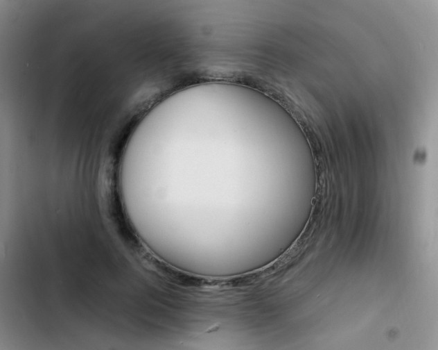 X0000103250744200808281056