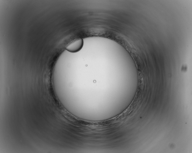 X0000103250745200808281056