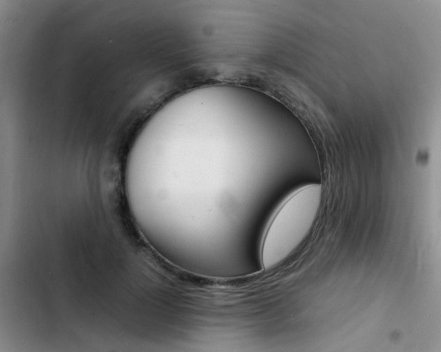 X0000103250748200808281056