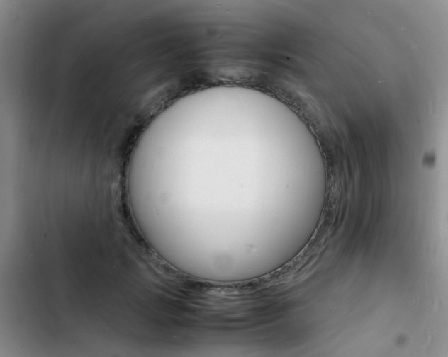 X0000103250749200808281056