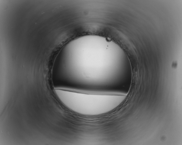 X0000103250750200808281056