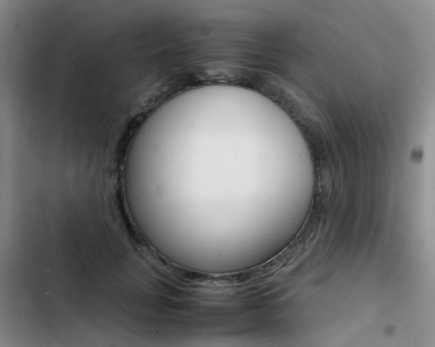 X0000103250751200808281056