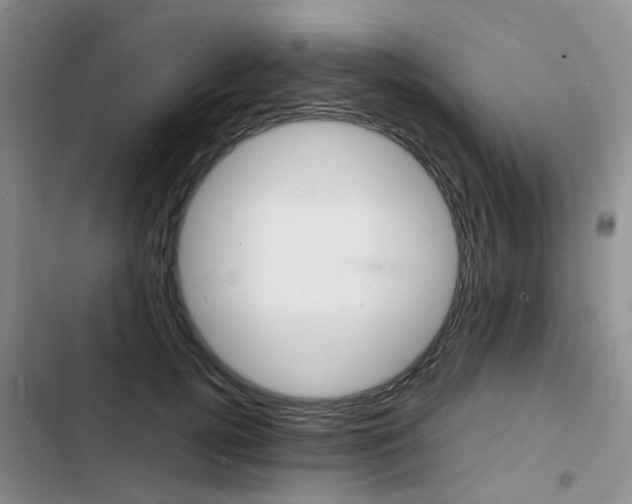 X0000103250752200808281056