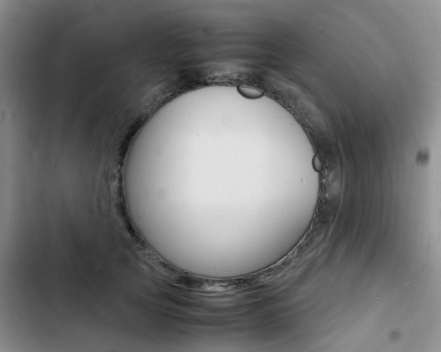 X0000103250753200808281056
