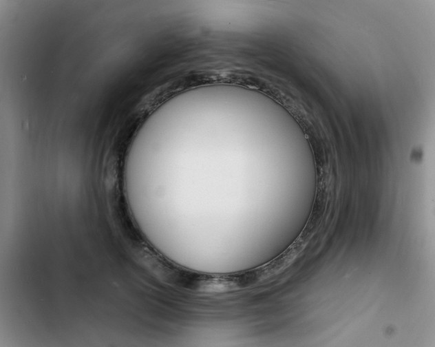X0000103250754200808281056