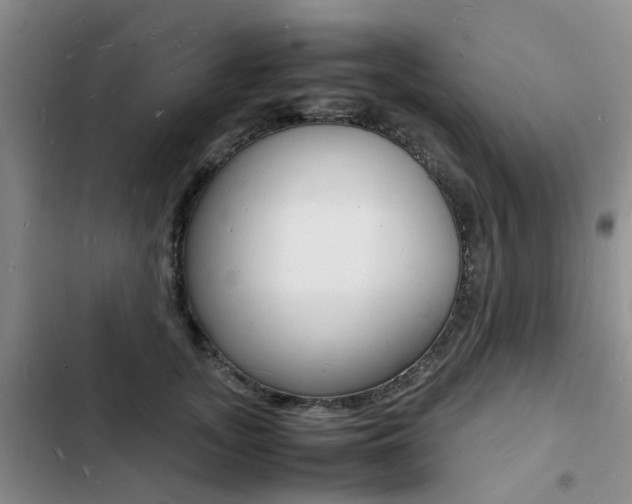 X0000103250755200808281056