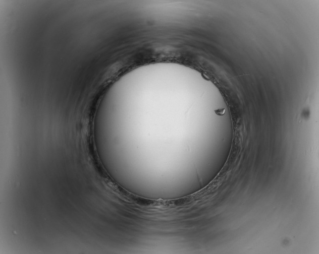 X0000103250756200808281056