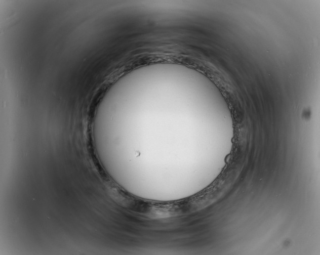 X0000103250757200808281056