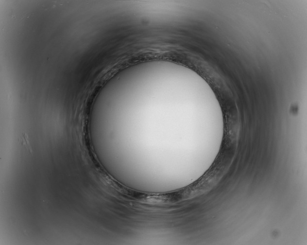 X0000103250758200808281056