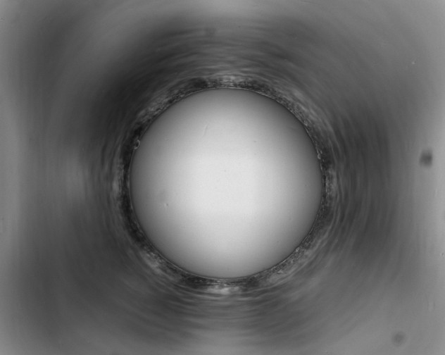 X0000103250760200808281056