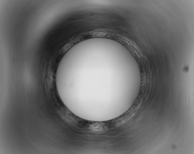 X0000103250761200808281056