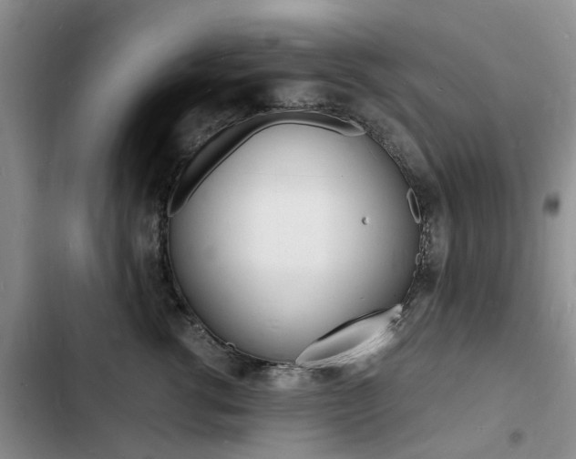 X0000103250762200808281056