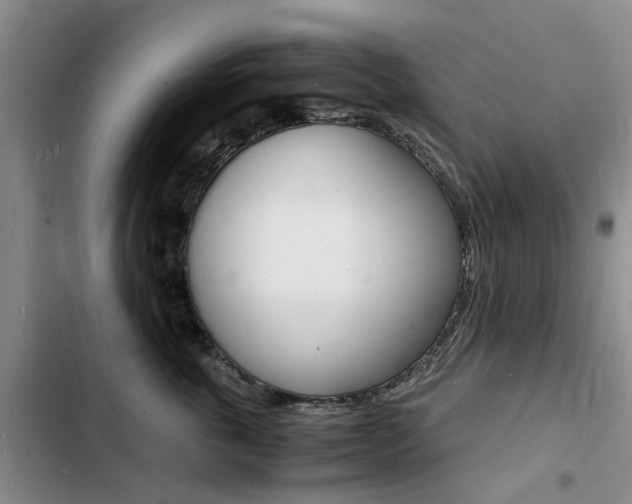 X0000103250763200808281056
