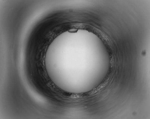 X0000103250764200808281056