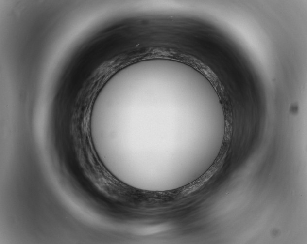 X0000103250765200808281056