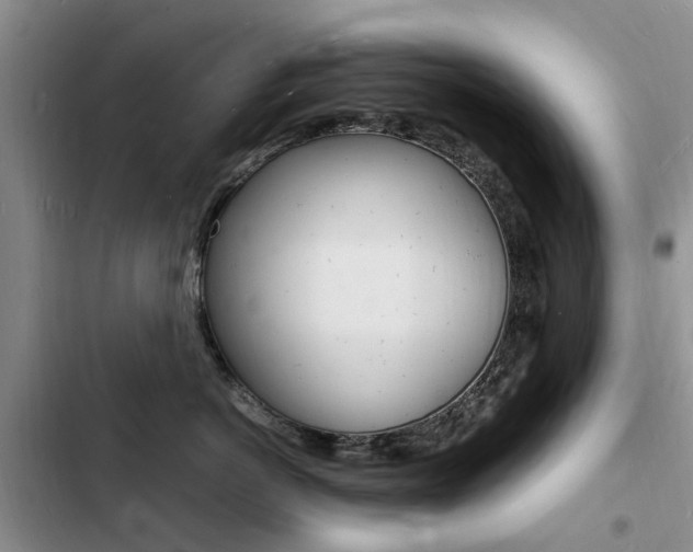 X0000103250766200808281056
