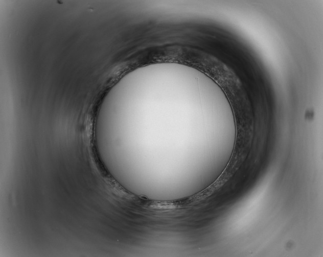 X0000103250767200808281056