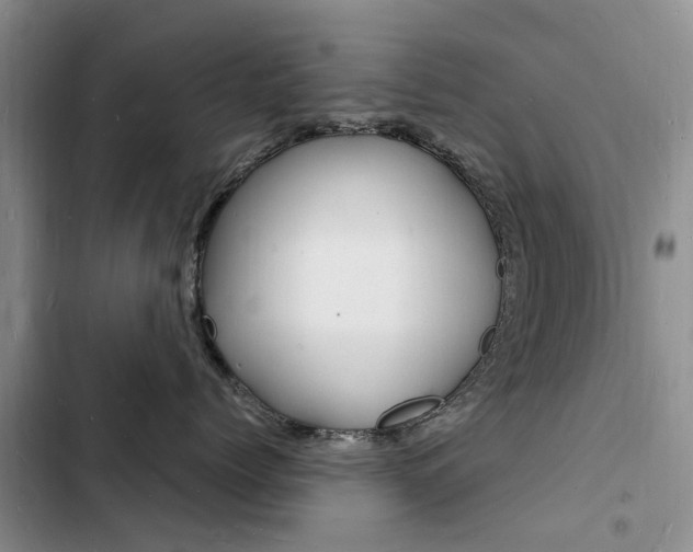 X0000103250768200808281056