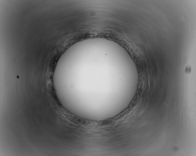 X0000103250770200808281055
