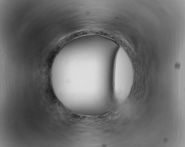 X0000103250773200808281055