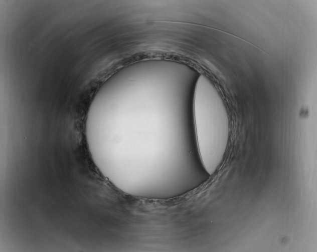 X0000103250774200808281055