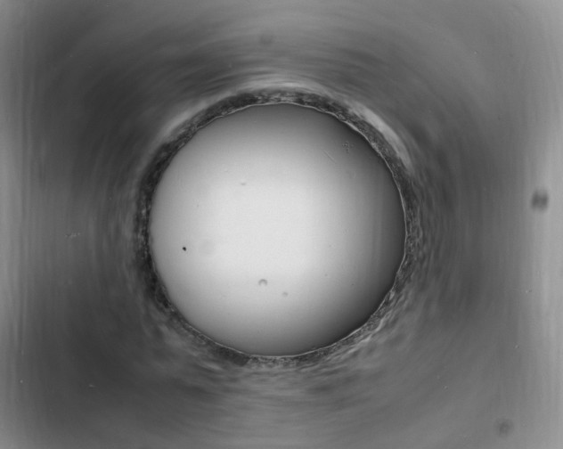 X0000103250775200808281055