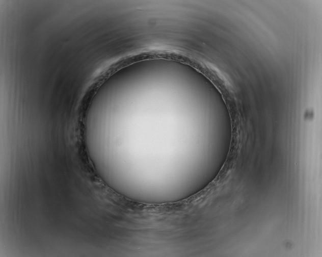 X0000103250776200808281055
