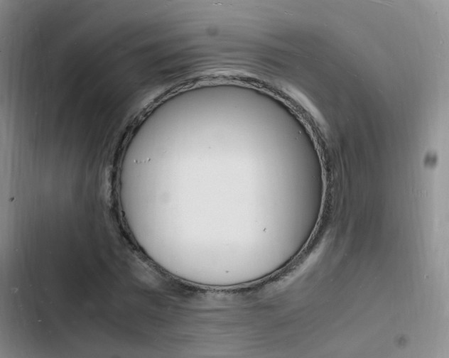 X0000103250777200808281055