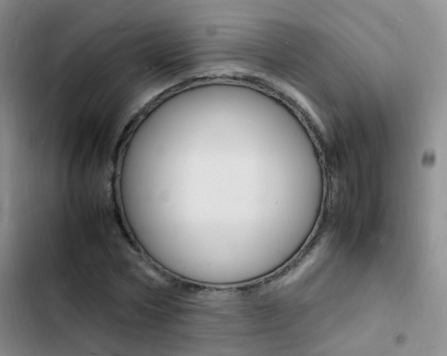X0000103250778200808281055