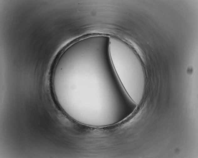 X0000103250779200808281055
