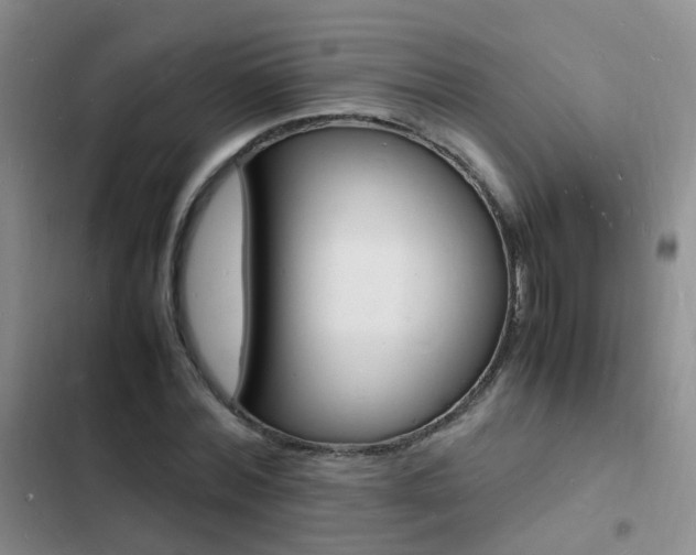 X0000103250780200808281055