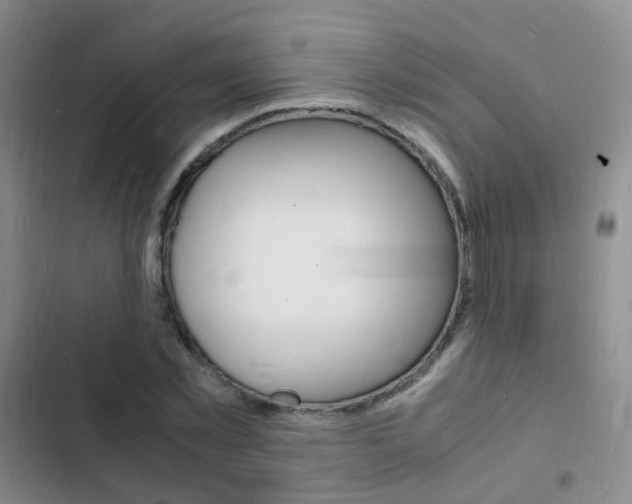 X0000103250781200808281055