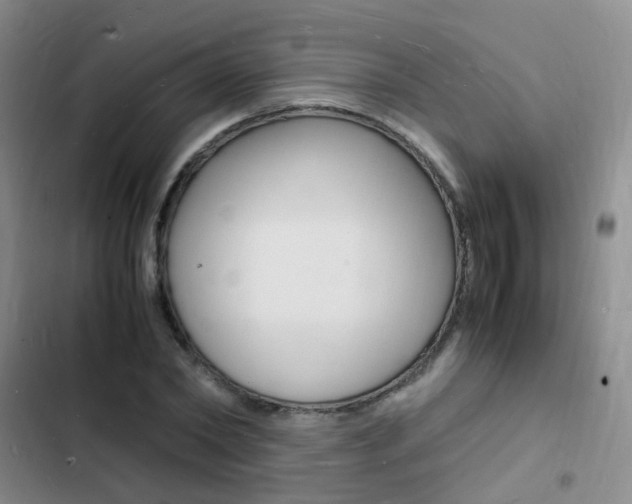 X0000103250782200808281055