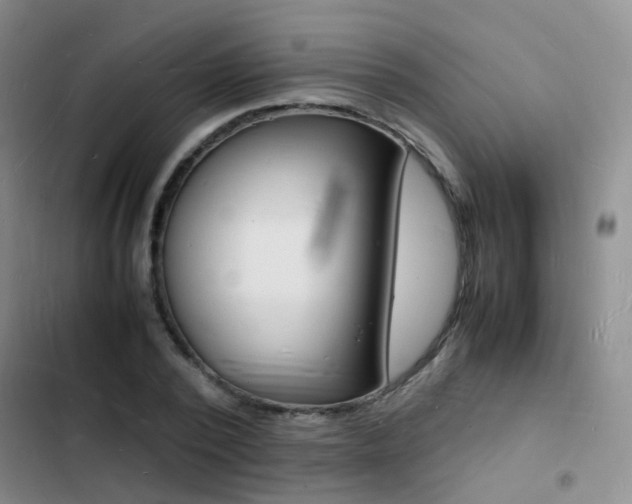X0000103250784200808281055