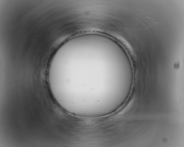 X0000103250785200808281055