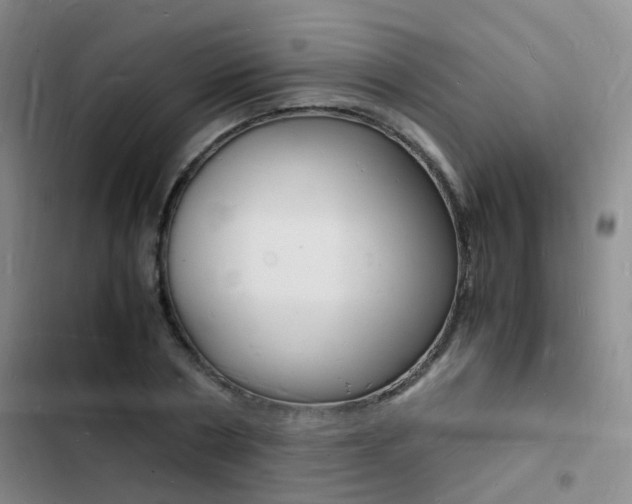 X0000103250786200808281055