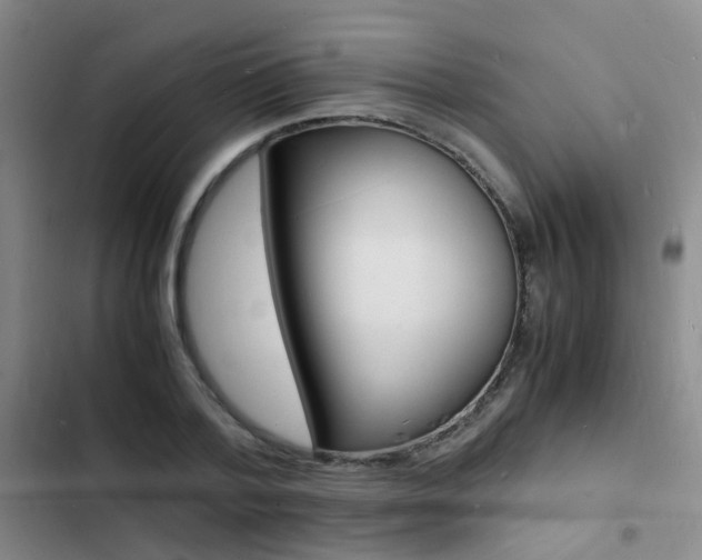 X0000103250788200808281055