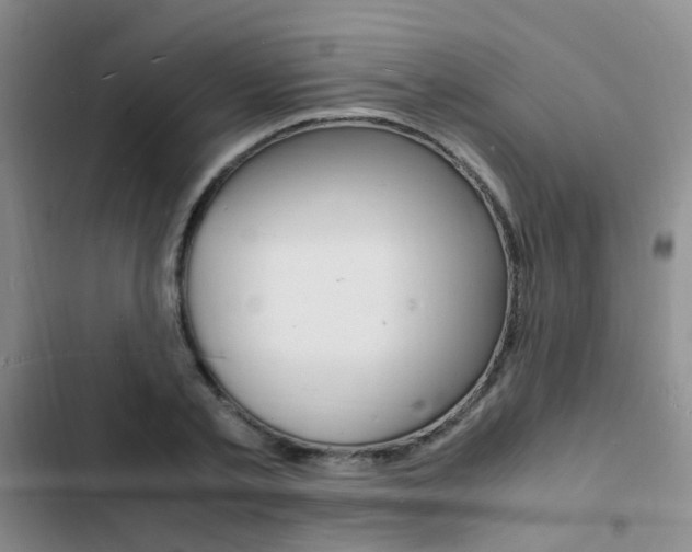 X0000103250789200808281055