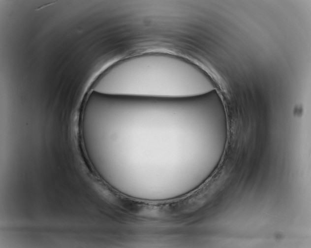 X0000103250790200808281055