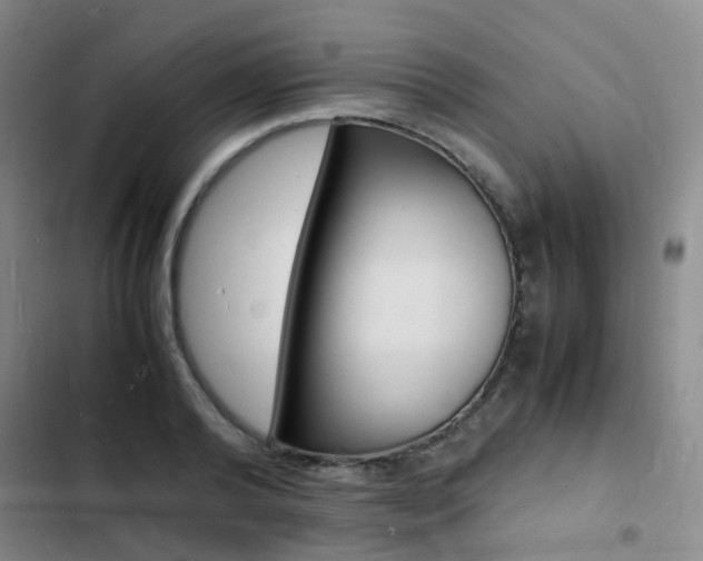 X0000103250792200808281055