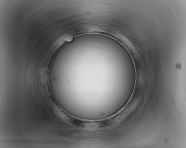 X0000103250793200808281055
