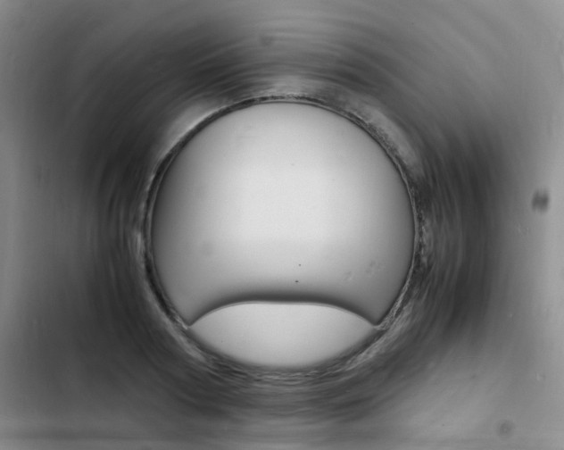 X0000103250794200808281055