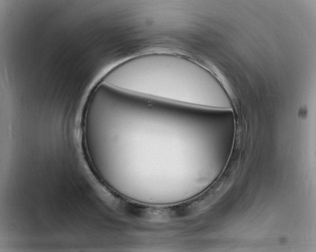 X0000103250795200808281055