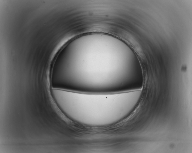 X0000103250796200808281055