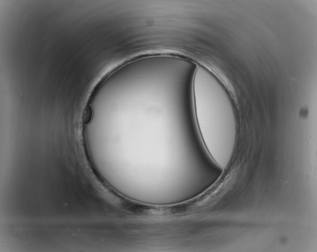 X0000103250797200808281055