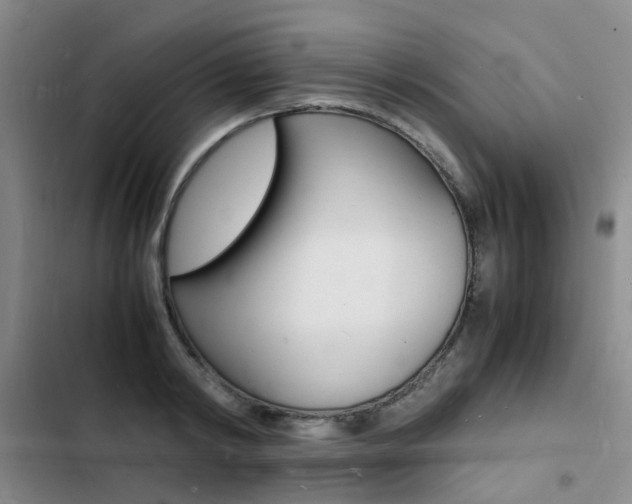 X0000103250798200808281055