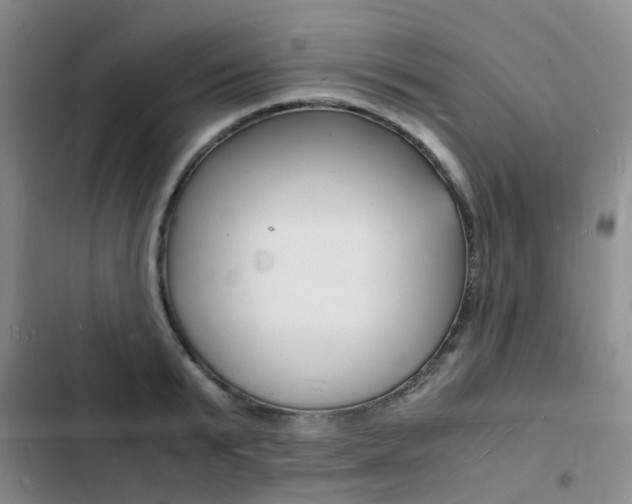 X0000103250799200808281055