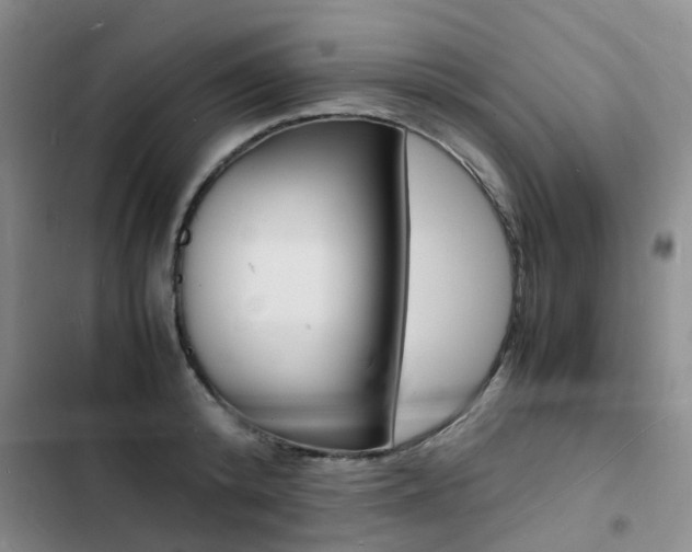X0000103250800200808281055